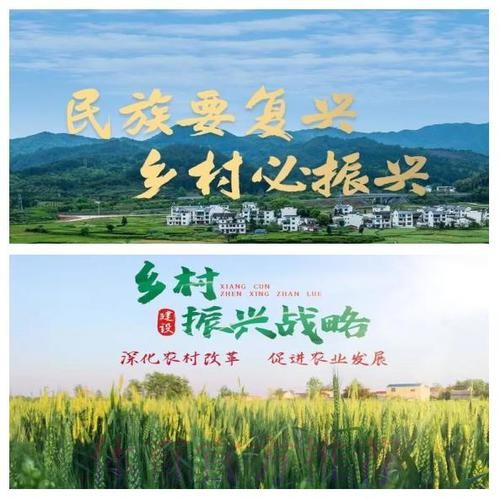 扎实推进精准帮扶 体育赋能乡村振兴